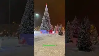 Домодедово. Елки и каток