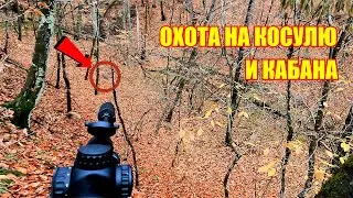 Охота на косулю и кабана