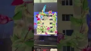 Hummingbird_AR