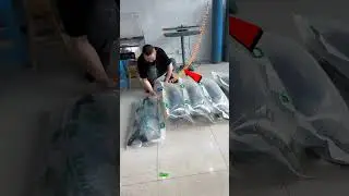 Amazing China Fish