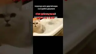 💩💩💩💩💩💩💩 фуууууууфуфуфуфуфуфуфуфуфуфуфуфууфуфуф