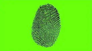 Finger Print Green Screen l Finger Print Scanning HD