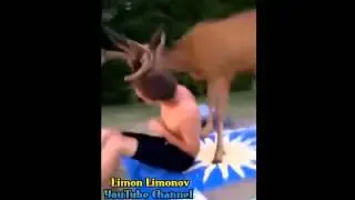 Смотреть всем! Настоящая любовь!