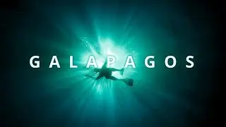 Galapagos - Teaser | gwegner.de