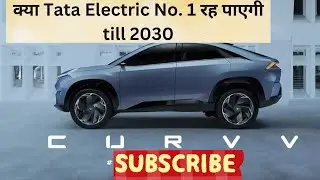 क्या Tata electric रह   पाएगी no. 1   साल 2030 तक ?