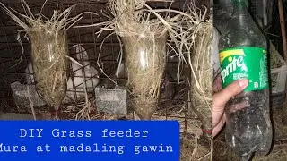 Rabbit Farming: Mura at madaling gawin Rabbit Grass Feeder. Tipid tips #rabbit
