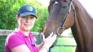 How to fit a Bombers bit | Forelock & Load