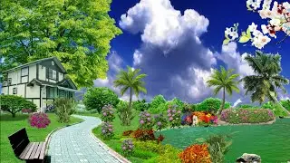 Beautiful nature background video hd wedding project | water flow background video.