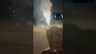 Lisa Didn’t Use Fireworks Responsibly:(