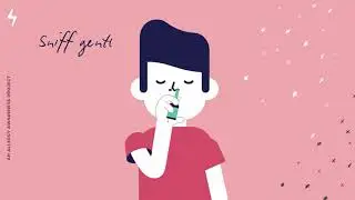 What is Hay Fever?