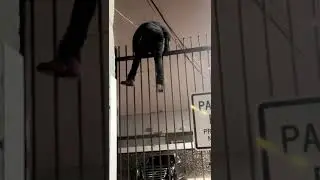 Катастрофа ! Вор остался без штанов.