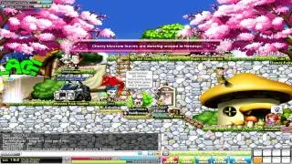 [Tourist Event] Cherry Blossom & Dolphin Show