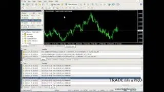урок№1 mql введение