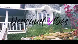 Yercaud Vibes | Fernhill Cottage | Cinematic | Panasonic GH5