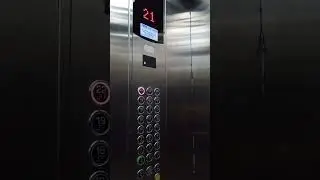 Hypsus elevator