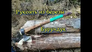 Топорище из березы. Валим ствол правильно