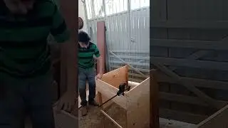 fazendo casinha de cachorro #wood #marceneiro #woodworking #diy