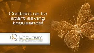 Endurium - Cost Reduction