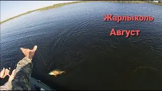 Рыбалка Рыбалочка! В поисках Окуня! Щука Атакует!