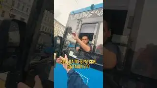 I let a pigeon onto the bus😂 - PRANK