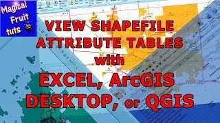 View Shapefile attribute tables with Excel. ArcGIS Explorer Desktop, or QGIS