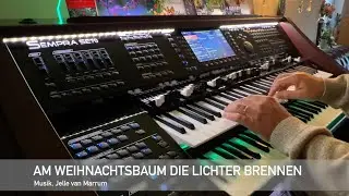 Am Weihnachtsbaum die Lichter brennen