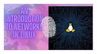 An Introduction to Networks in Linux