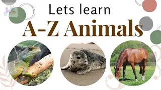 A to Z Animals  | Alphabet Animals | Animal Names | Animal Vocabulary | Animal Videos | Kiddotowns