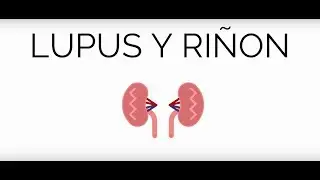 lupus y riñon