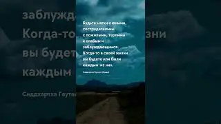 Будьте мягки Жизненные цитаты 