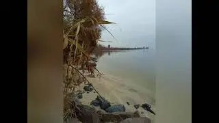 Моє море вбили росіяни .