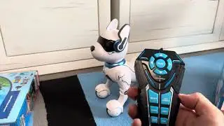 Ziggy der Robo Hund SMYTHS    #smythstoys  #pawpatrol #toys #funny #kidsvideo
