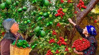 Harvesting Juicy Feijoa Fruit and Hawthorn | Making Fresh Juice