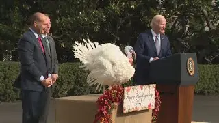 President Biden, Iowa Governor Reynolds pardon turkeys