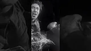 💯От куда выбыли туда и прибыли📽️📺🎬🫤
