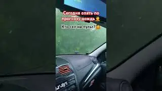 3 августа 2024 г.