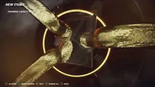 Another Golden Ticket Madden 21