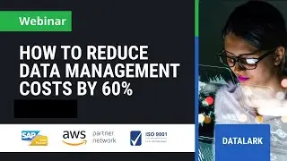 How To Reduce Data Management Costs By 60% with DataLark