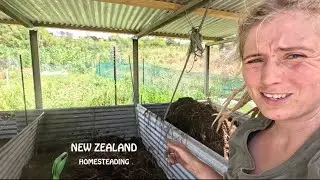 This is how we compost on our New Zealand Homestead (vlog)