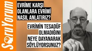 SoruYorum - Evrime Karşı Olanlara Evrimi Nasıl Anlatırız? Evrim Tesadüf Olamaz Mı?
