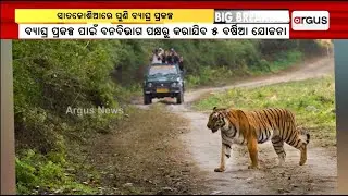 ଅନୁଗୁଳ ସାତକୋଶିଆରେ ପୁଣି ଆରମ୍ଭ ହେବ ବ୍ୟାଘ୍ର ପ୍ରକଳ୍ପ || Angul Tiger Project
