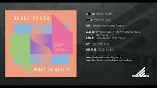 Rebel Youth - What Is Soul (Joseph Ashworth Remix)