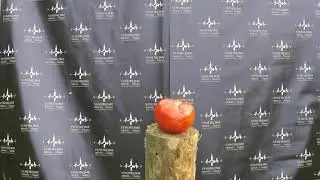 Фруктовая вечеринка fruit party