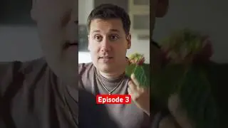 Sainte-Cécile : Episode 3 - Jonathan rentre chez lui et tombe sur la fleur préférée de Julie…