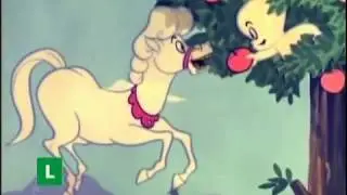 Gasparzinho - O Cavalo Enfeitiçado