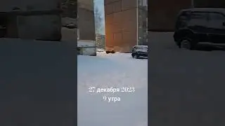 Жители сами чистят тропинки Нижний Тагил