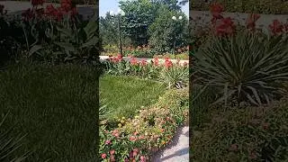 сквер А.Навои  напротив 9 школы#uzbekistan #фергана