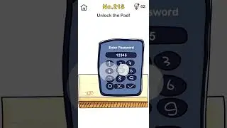 brain out level 213