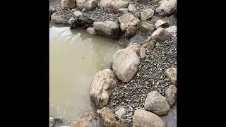 Rebuilding an Existing Pond
