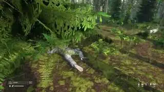 Forest gunfight | DayZ